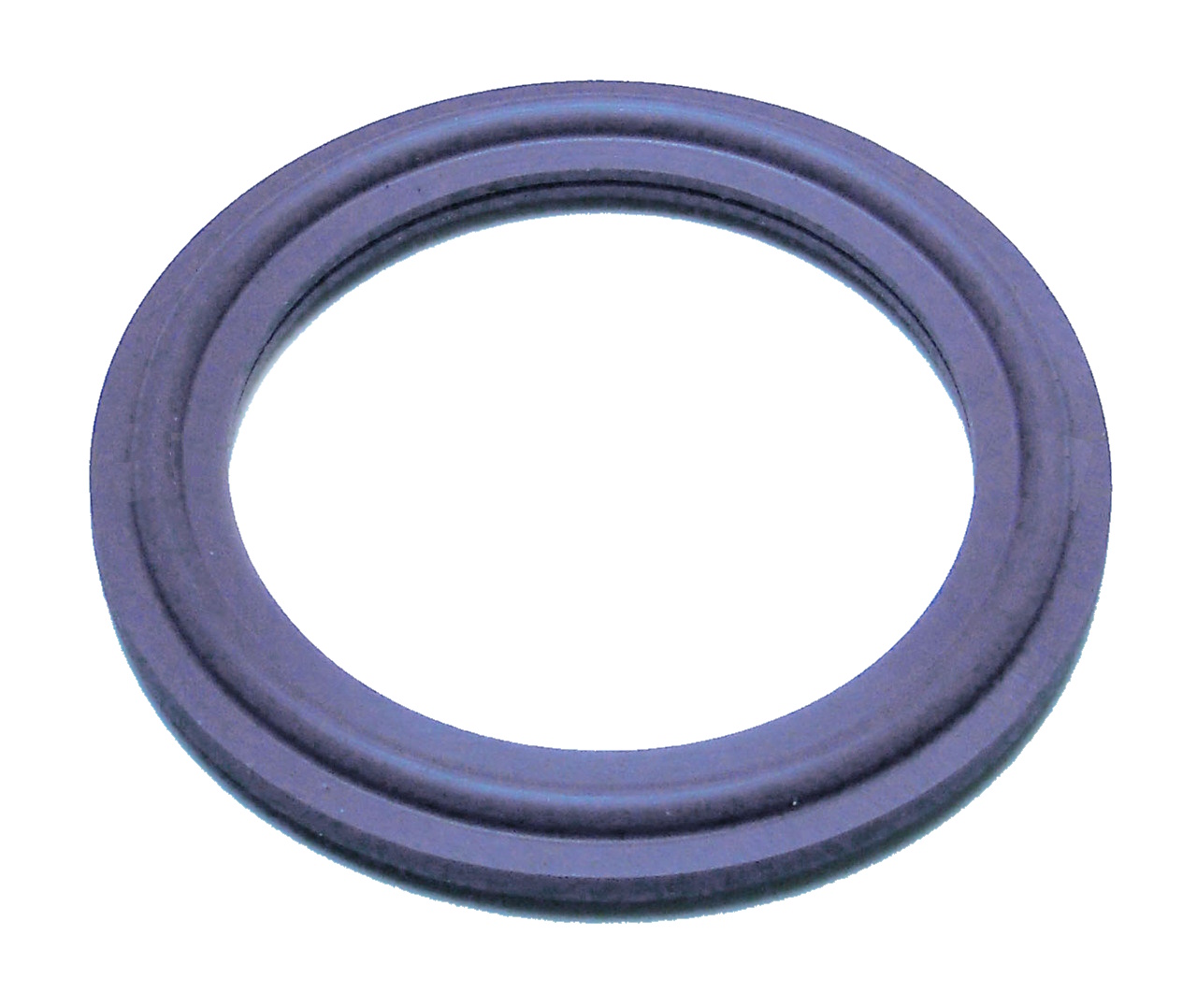 Empaque de Viton morado GF600s